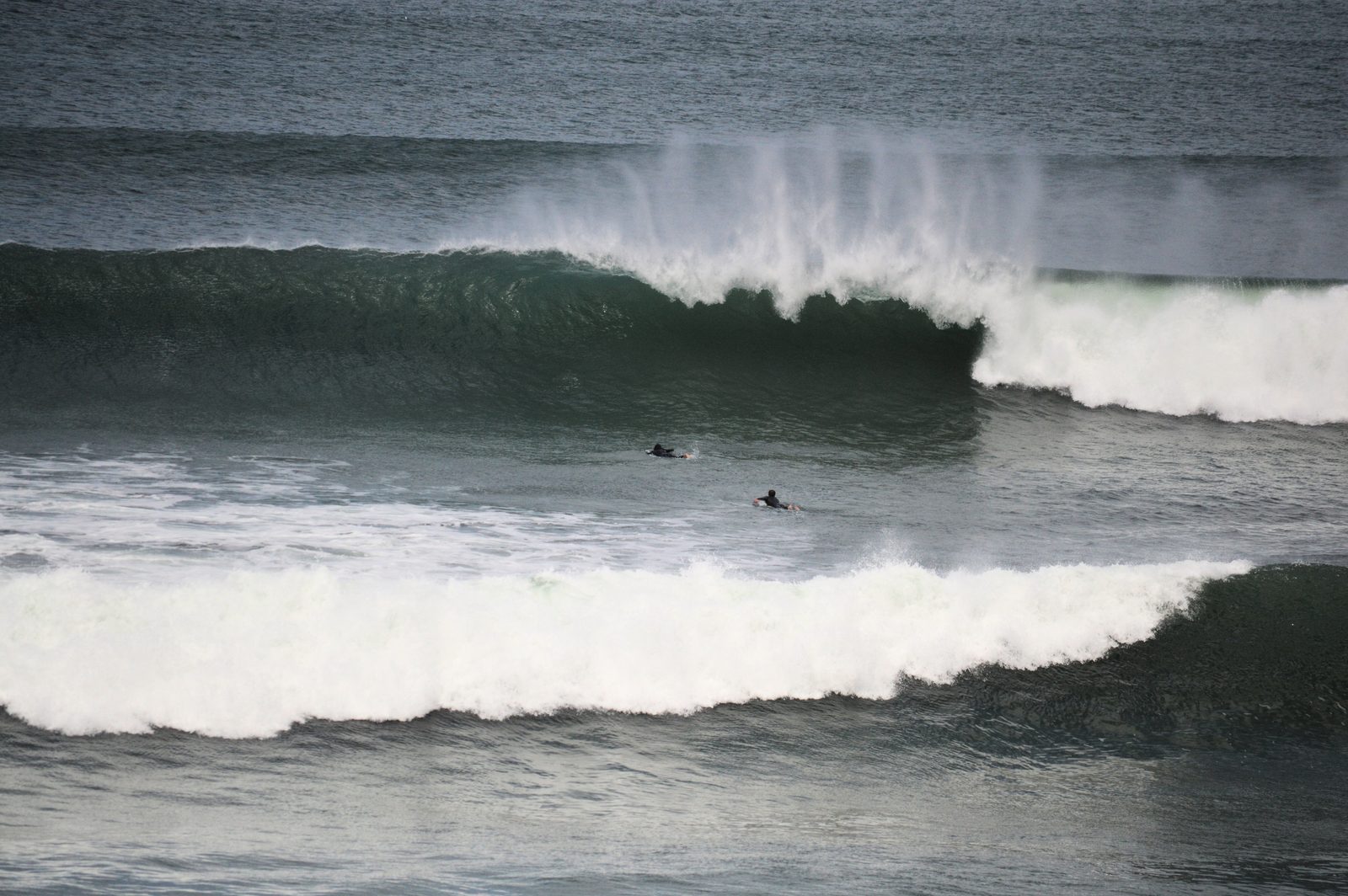 Surfer popping up on a wave